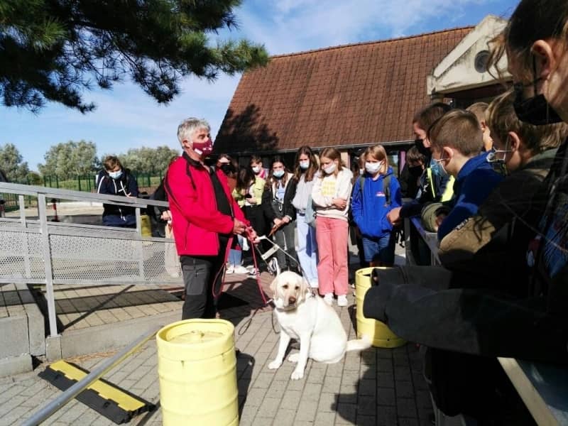 245237026-2978428542399084-2554311470127426296-n